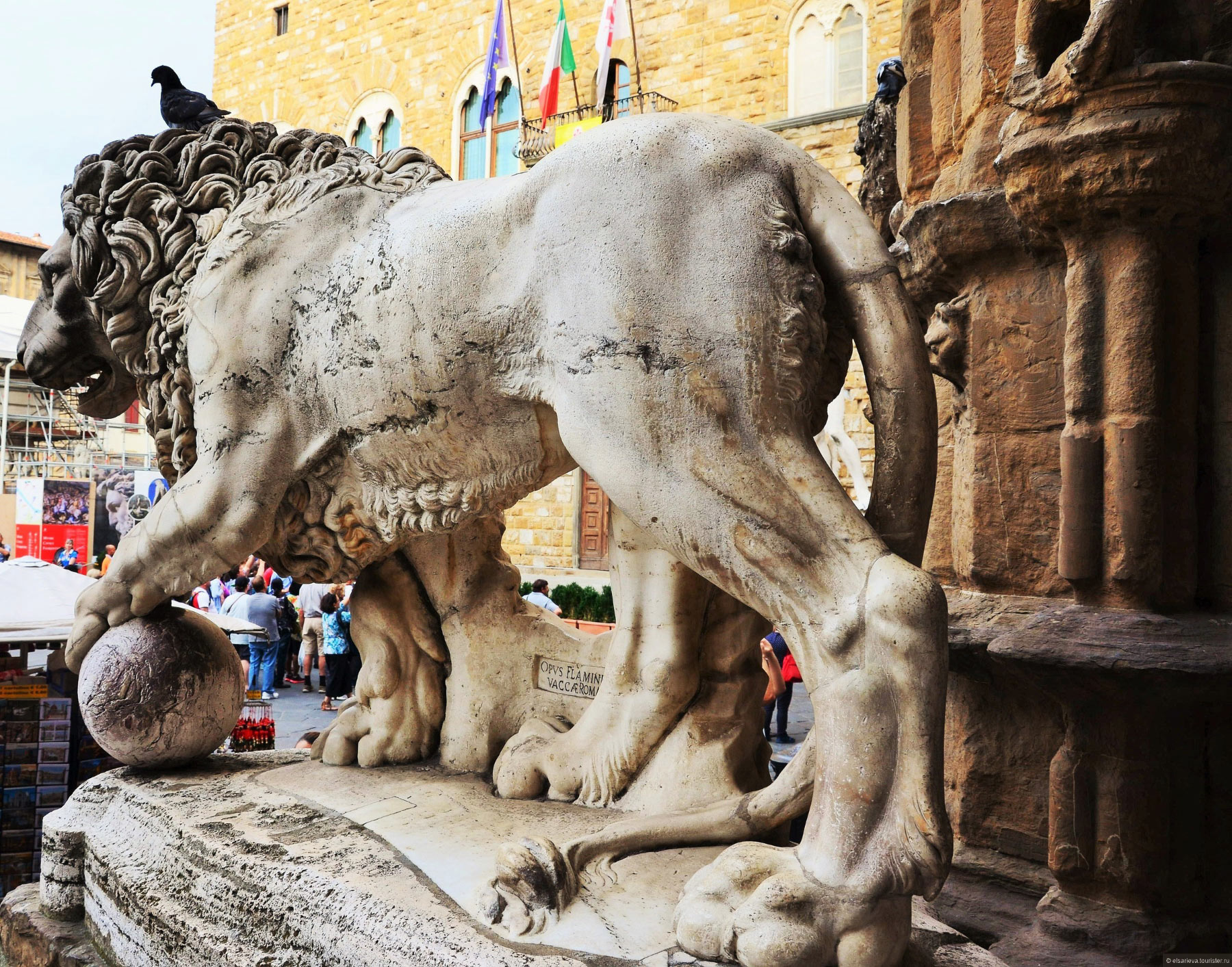 Firenze